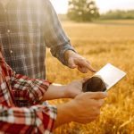 Two farmers look at a tablet while standing in a field.