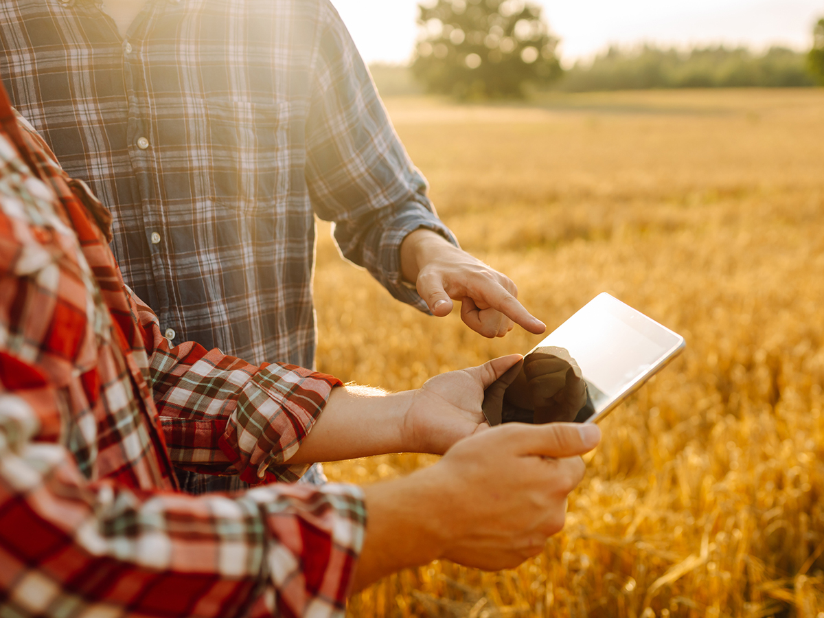Two farmers look at a tablet while standing in a field.