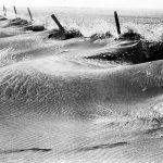 An archival photo of soil blown into piles along a fence line.
