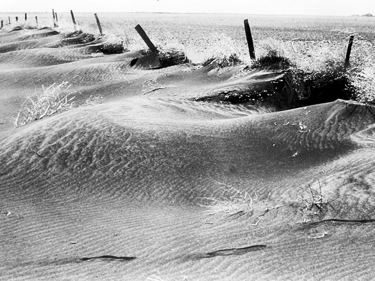An archival photo of soil blown into piles along a fence line.