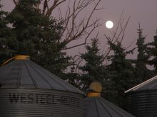 The author encourages producers to take advantage of the “calm before the storm” as the busy spring season approaches and ensure their farm is prepared for the worst in case a sudden emergency occurs. | File photo