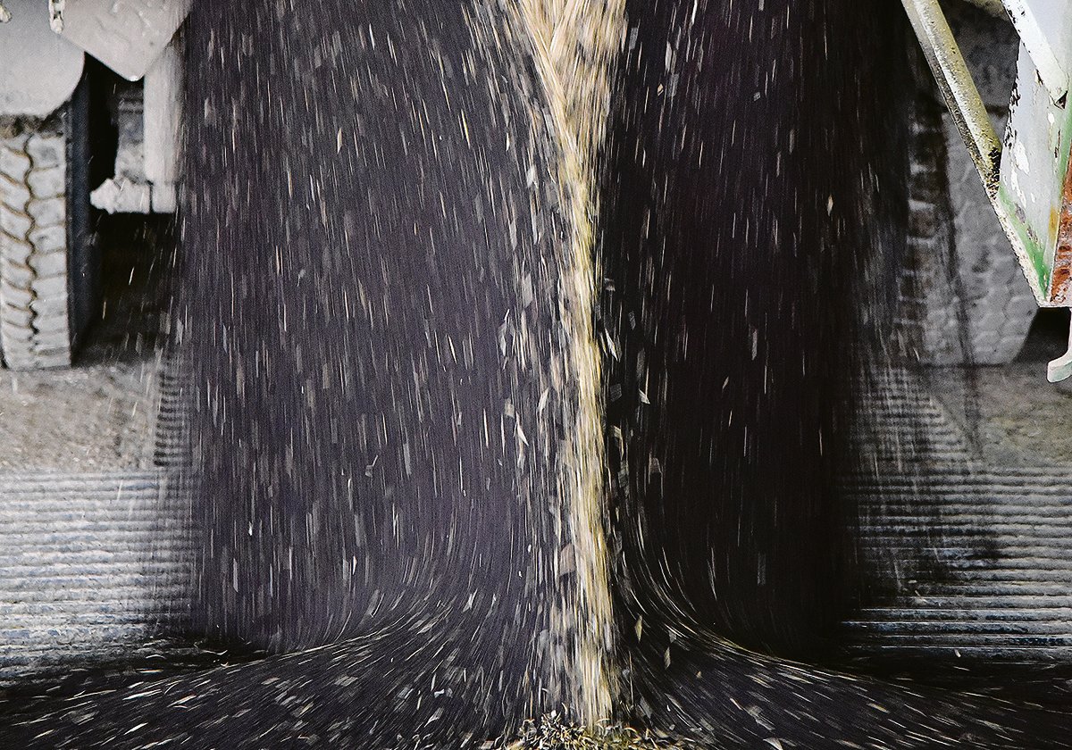 Canola seed flows from the box of a truck at an inland terminal.