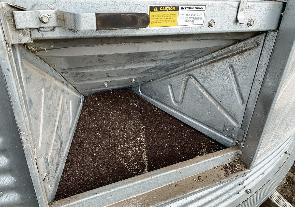 Canola sits in a steel grain bin.