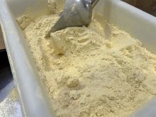 Raw pea protein in powdered form.