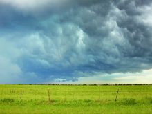 Dark, roiling storm clouds over a bright green pasture.