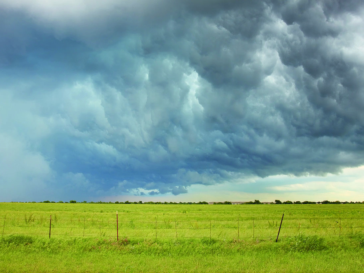 Dark, roiling storm clouds over a bright green pasture.