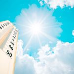 Stock photo looking upward toward the sun with an old thermometer with red fluid in it along the lefthand side of the image.