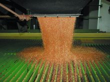 Grain is dumped from a truck at a grain terminal.