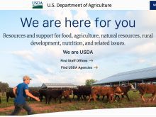 Screencap of the homepage of the USDA with an image of a farmer walking through a pen with cattle in it.