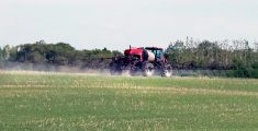 The Pest Management Regulatory Agency plans to assess new pesticides by looking at the residues of a specific product and how it might combine with other pesticide exposure to increase the health risk to an individual, but CropLife Canada says that is “almost a scientific impossibility.” | File photo