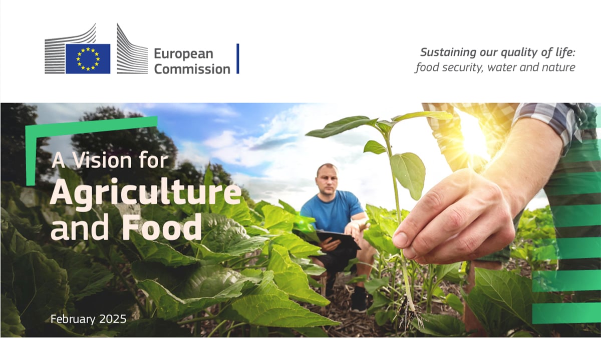 A screencap of an EU factsheet entitled, "Vision for Agriculture and Food."