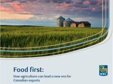 Screencap of the RBC report entitled, "Food First: How Agriculture Can Lead a New Era for Canadian Exports."