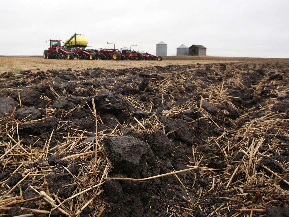 A soil scientist says the first step in moving toward regenerative agriculture is understanding that the soil is alive. | File photo