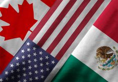 Canada, USA and Mexico flags.