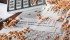 Wheat board wrangling leaves many producers in confusion