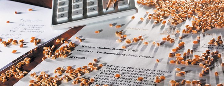 Wheat board wrangling leaves many producers in confusion