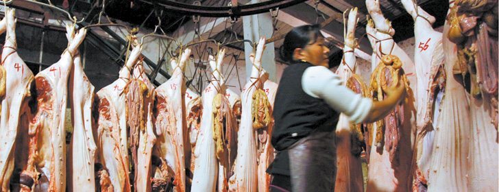 Numbers don’t add up for corn supply, demand in China