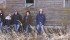 Cattle breeders’ winning streak no accident