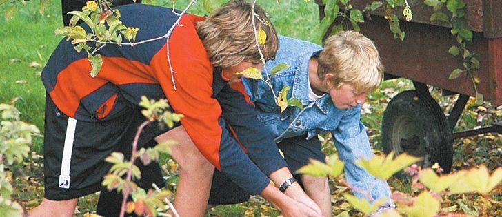 Agritourism can help attract visitors to fruit farms but growers must be willing to spend money to make money, says a U-pick owner.  |  File photo