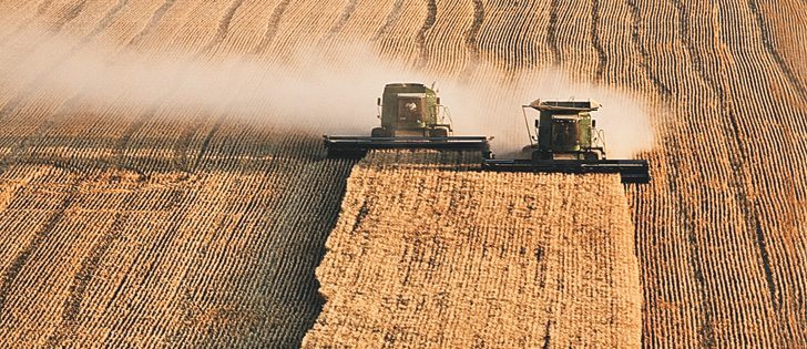 Cereals make up a large portion of the prairie grain crop and higher prices have caused producers to take their variety choices seriously as bigger yields pay off with significant margins.  |  William DeKay photo
