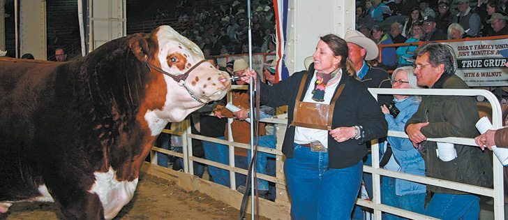 Jen Ward leads her grand champion Polled Hereford at the National Western Stock Show in Denver, Colorado. Bred by Ned and Jen Ward of Sheridan Wyoming, the bull is owned in partnership with River Valley Polled Herefords of Newburg, Ont., and is named NJW 73S M326 Trust 100W ET.  |  Barbara Duckworth photo