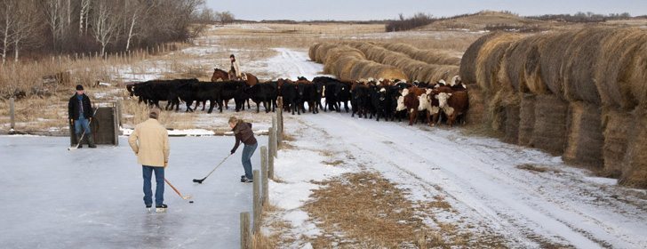 For 14 years, the Abrahamson family has been making an ice pad in the pasture for a game of hockey.  |  William DeKay photo