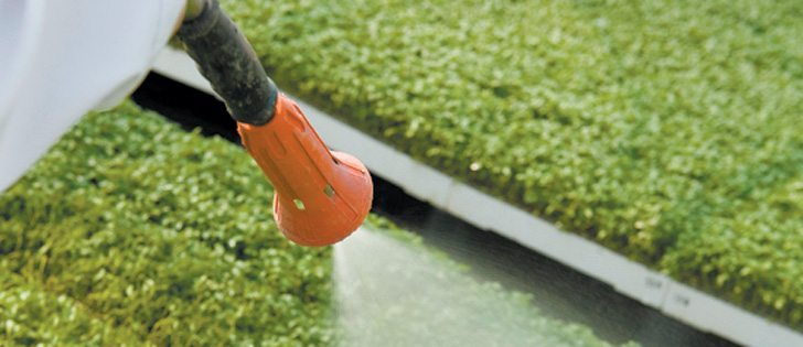 If there isn’t a scientific connection, why would one of Canada’s largest charities use donor dollars to promote pesticide bans across the country?  | File photo