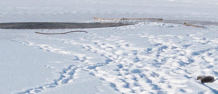 Boys playing too close to this dugout near Hyas, Sask., leads to near drowning.  |  Kamsack RCMP photo