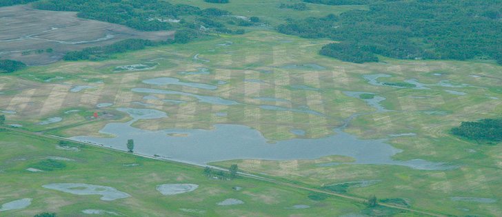 One theory for rising concentrations in Lake Winnipeg is the growing practice of zero-till, which leaves more trash on the field, releasing more phosphorus when flooding occurs.  |  File photo