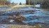 Governments must take action on unrestricted drainage and raise awareness of the effects of draining wetlands. | File photo