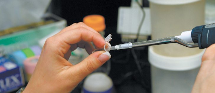 Canada’s biotechnology sector is a significant contributor to positive policy change in food production.  |  File photo