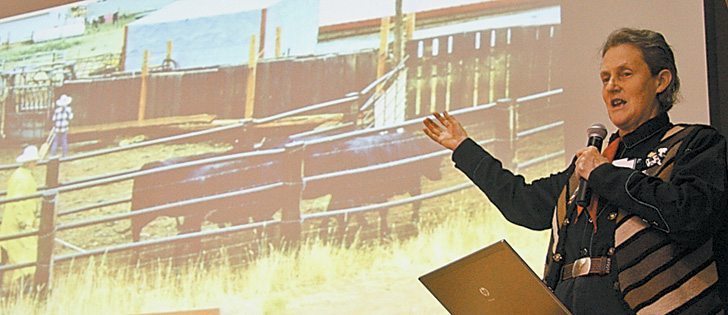 Temple Grandin spoke to a standing room only crowd about livestock management systems at the Lethbridge College Tiffin Conference Jan 19.  |  Barb Glen photo