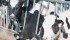 A positive sample of Johne’s disease was found in approximately one quarter of participating Alberta dairy herds. | File photo