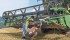 A study by the Canadian Agriculture Injury Reporting System found farm operators were most at risk for accidents, followed by farm children. The most common accidental causes of death on farms were runovers and rollovers, in which vehicles were left running or were unblocked on a slope. | File photo