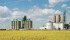 Crushing plants like Cargill’s near Clavet, Sask., are operating near capacity. | File photo