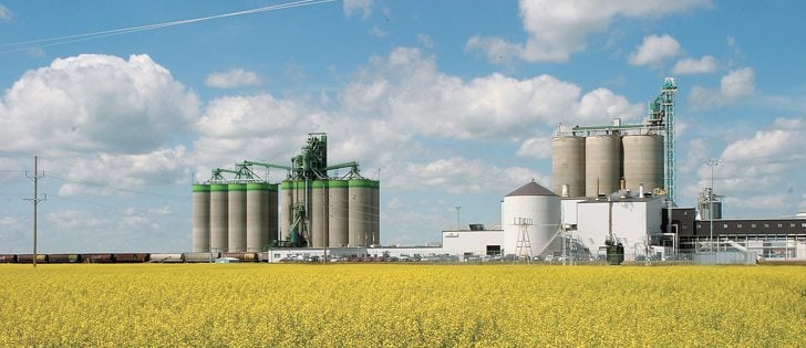 Crushing plants like Cargill’s near Clavet, Sask., are operating near capacity.  |  File photo