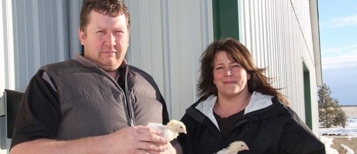 Mark and Diane Pastoor with two young broiler chickens outside the barn at Chicks R Us Poultry near Dalmeny, Sask.  |  Karen Briere photo