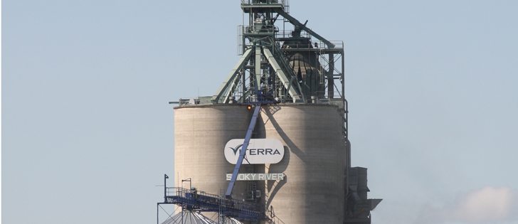 As Glencore takes over Viterra elevators it might rely on basis alone to attract customers.  | File photohoto