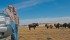 Hap and Lorna Bennett’s goal is to pass on their century farm at Dodsland, Sask., to the next generation, with as little debt as possible. | Karen Morrison photo
