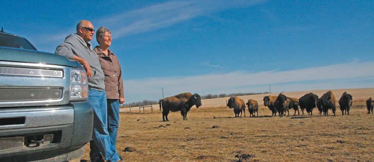 Hap and Lorna Bennett’s goal is to pass on their century farm at Dodsland, Sask., to the next generation, with as little debt as possible.  |  Karen Morrison photo 