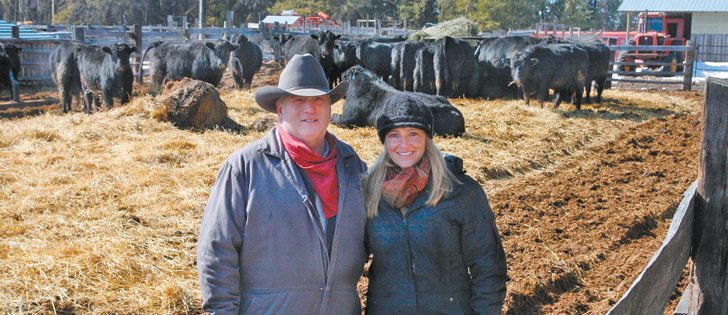 Scott and Marie Greenwood say they can earn five percent more by selling their grass fed beef online rather than through the commercial market.  |  Dan Yates photo