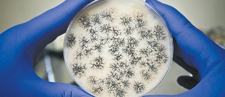 Canada needs to invest in agricultural research to increase productivity to meet global food demands.  |  File photo