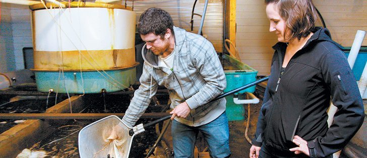 Collin and Rachel Keet operate a trout fish farm near Vanscoy, Sask.  |  Sean Pratt photo