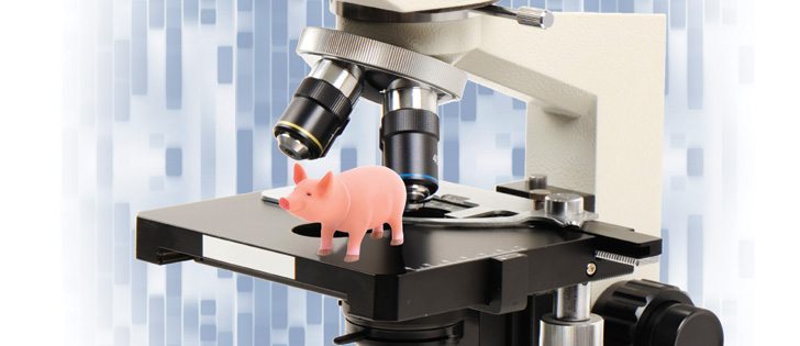 Researchers find genetic marker for virus