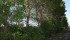 The federal government says the time is right to step out of the business of providing trees to farmers and will look to private industry to continue operations of its shelter belt centre. | File photo