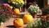 Attractive displays when selling direct from the farm engage customers who want to be entertained while shopping for farm products. Customers are willing to come throughout the year and enjoy the changing seasons. Offering a wide variety of products creates interest and people are apt to buy more. | File photo
