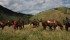 An equine geocaching excursion allows riders to enjoy a day ride or camp overnight in the Kananaskis area of Alberta’s Rocky Mountains. | Mary MacArthur photo