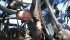 With seeding in full swing across the Prairies, many farmers are discovering a shortage of fertilizer exists. Scott Stauffer of Tofield, Alta., was recently seeding and stopped to check a liquid fertilizer hose. | Mary MacArthur photo