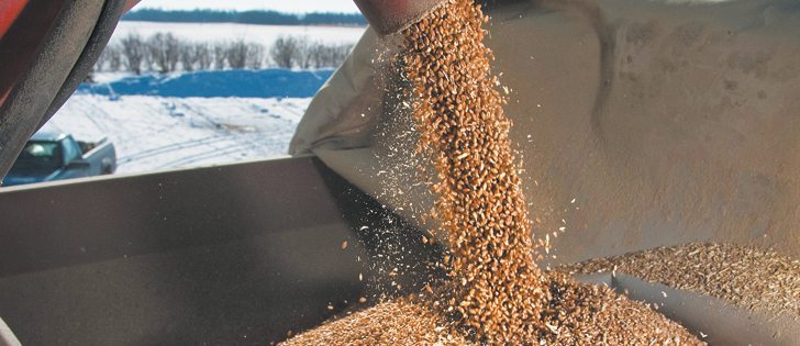 Acreage and production is down in several key wheat producing countries, including Argentina, Australia and the Black Sea.  |  File photo