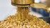 Global durum production is forecast to fall this year but the cup might still be too full as weak European economies use less and production in North America stabilizes. | File photo